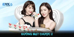 Đường Mạt Chược 2 Cập Nhật Luật Chơi Mới Nhất Dễ Hiểu